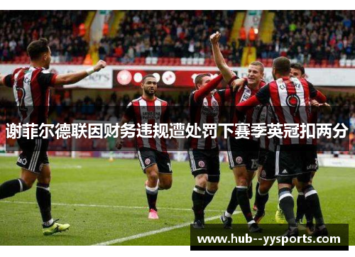 谢菲尔德联因财务违规遭处罚下赛季英冠扣两分